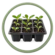 categor&iacute;a macetas y jard&iacute;n en tienda online abonica